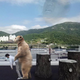 Illustration for article titled Korea's Photoshop Trolls Make the Internet a Better Place